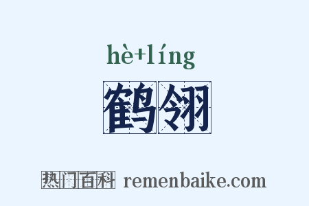 鹤翎是什么意思的图片